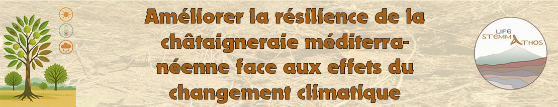 Banni%C3%A8re-Ch%C3%A2taigneraie.jpg