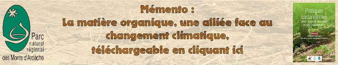 Bannière-Mémento_1.jpg