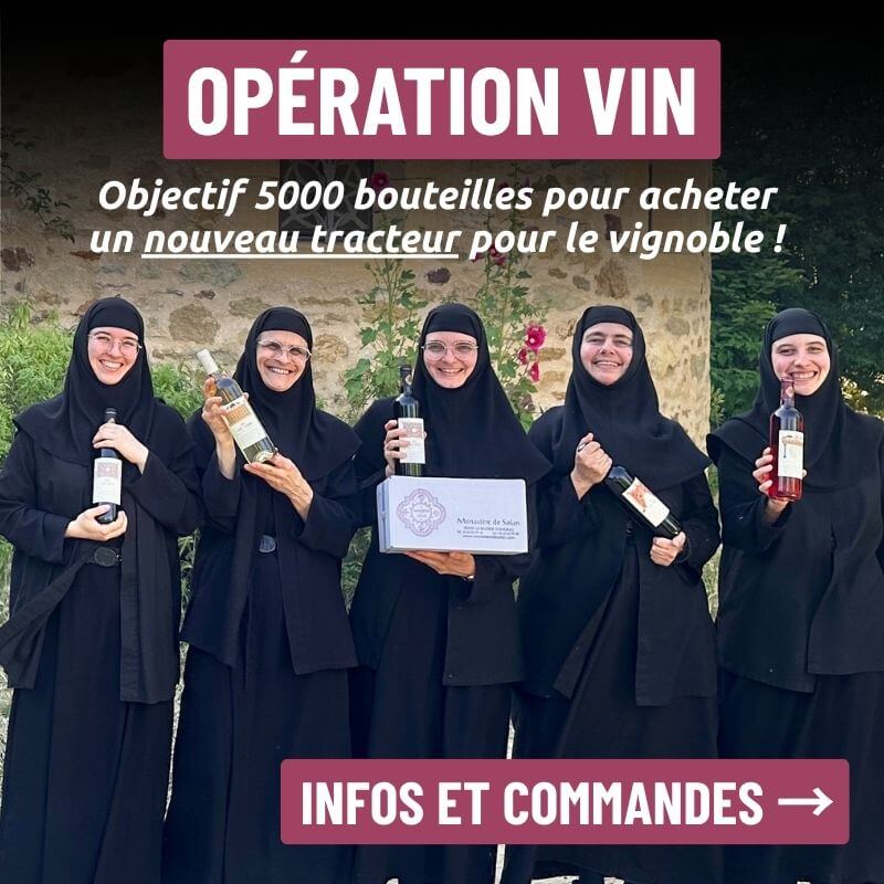 Visuel  OP vin Divine Box 800x800